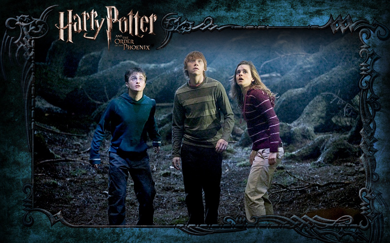 Free download Harry Ron and Hermione Wallpaper Harry Ron and Hermione  Wallpaper [1280x800] for your Desktop, Mobile & Tablet | Explore 49+ Harry  Ron and Hermione Wallpaper | Ron Burgundy Wallpaper, Harry