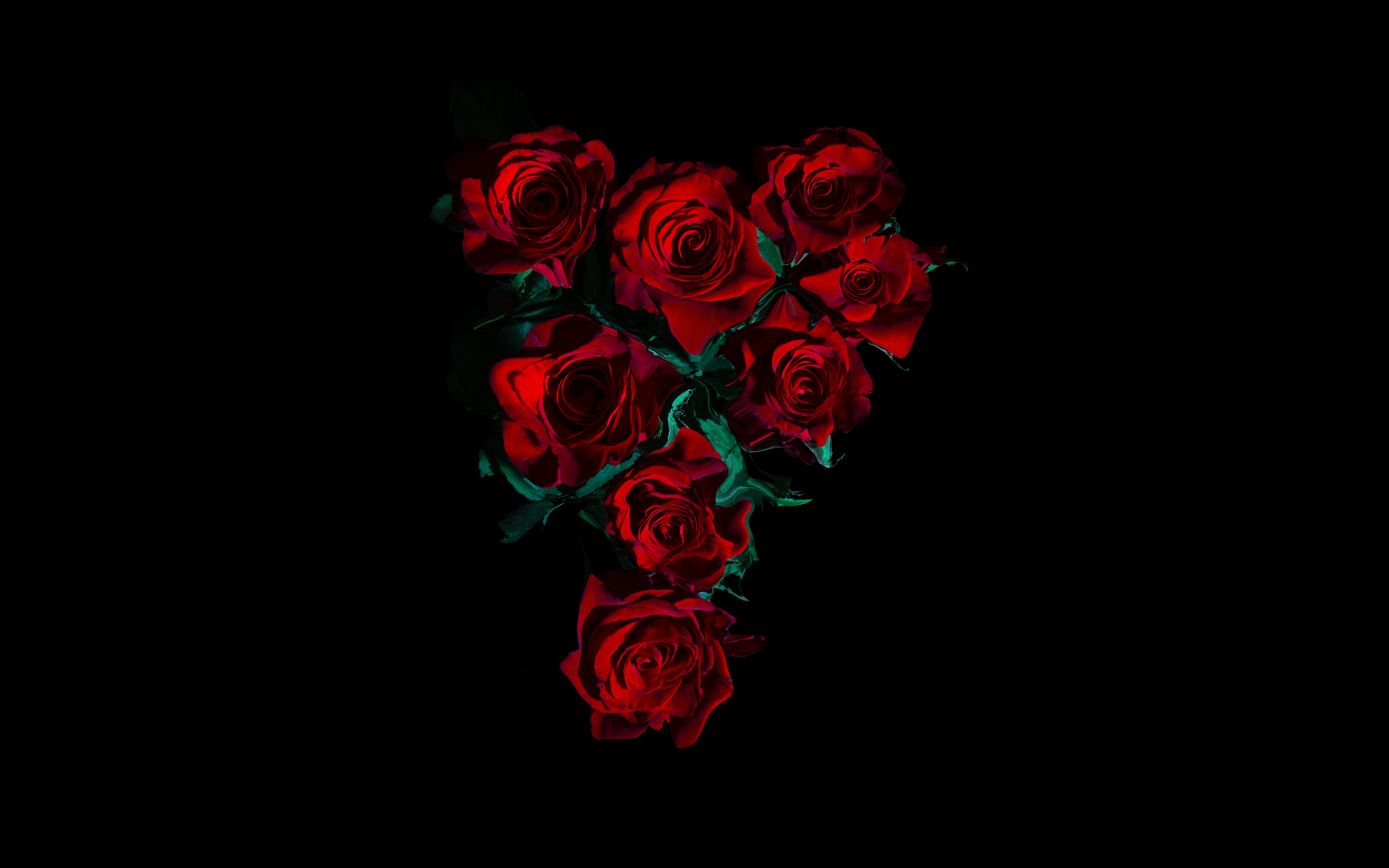 A captivating close-up of a bouquet of vibrant red roses against a stark black background, creating a dramatic and romantic visual