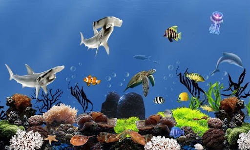 Aquarium Fish Wallpaper Fish aquarium live wallpaper