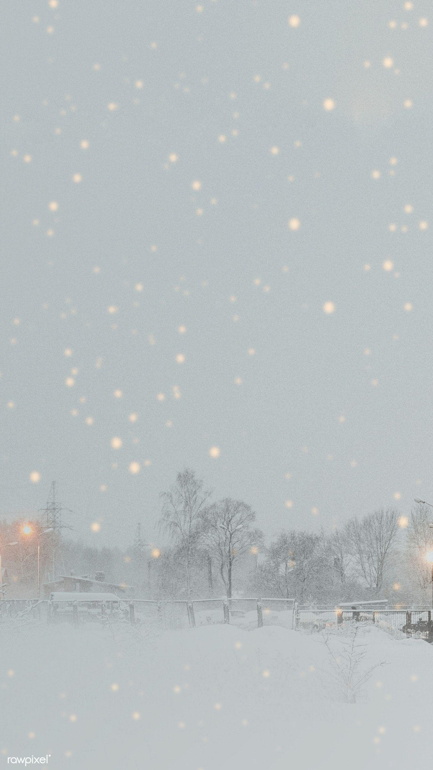 Snowy Park In The Evening Mobile Phone Wallpaper Premium Image