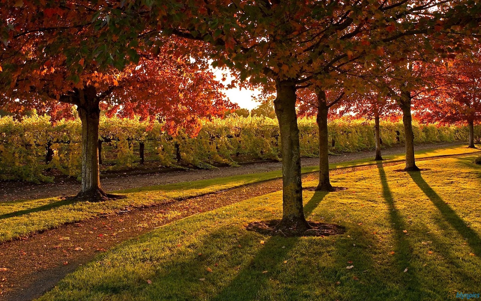 Best Pictures Autumn Scenic Wallpaper