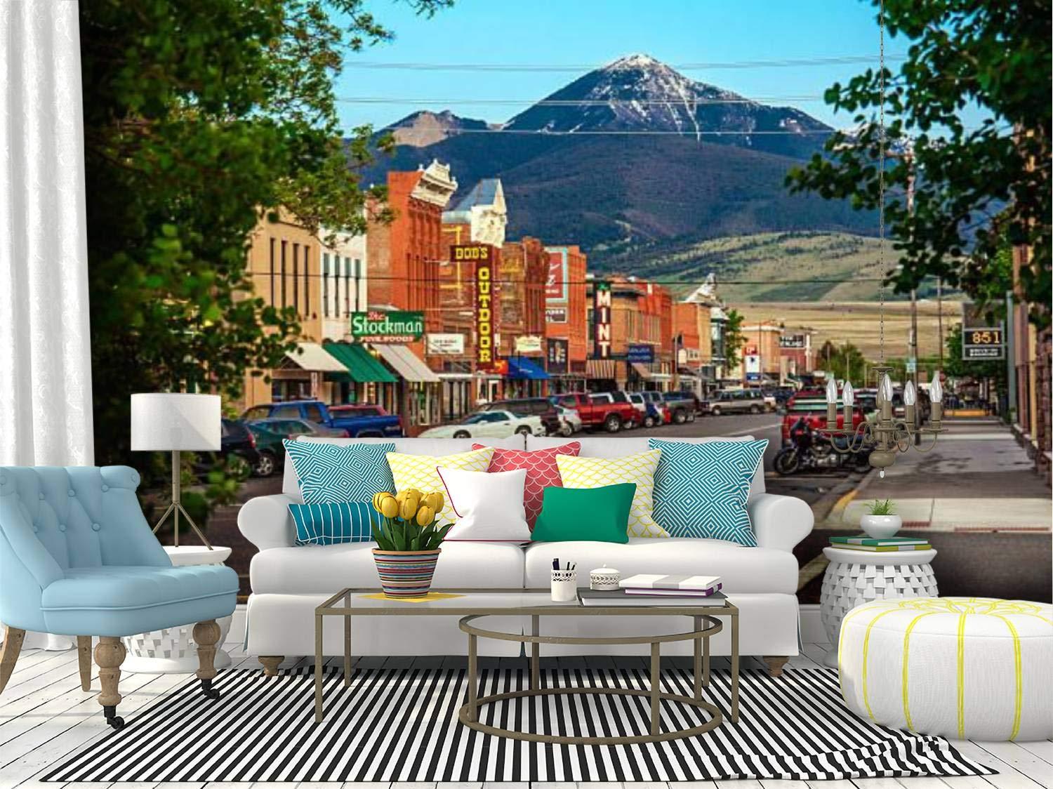 Amazon Recethrows Wall Mural Historic Centre Of Livingston