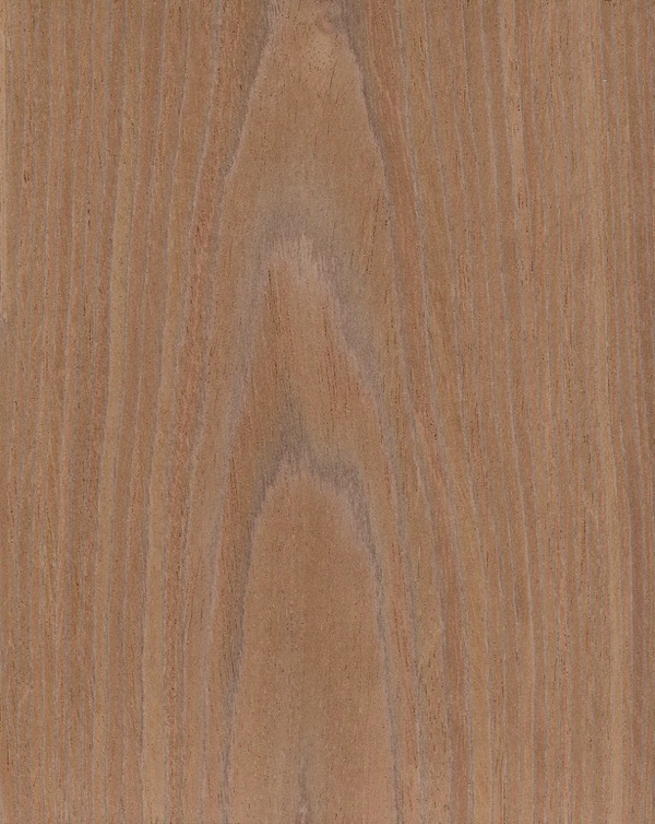 Wood Wallcoverings Are Real Timber Veneer Harvested