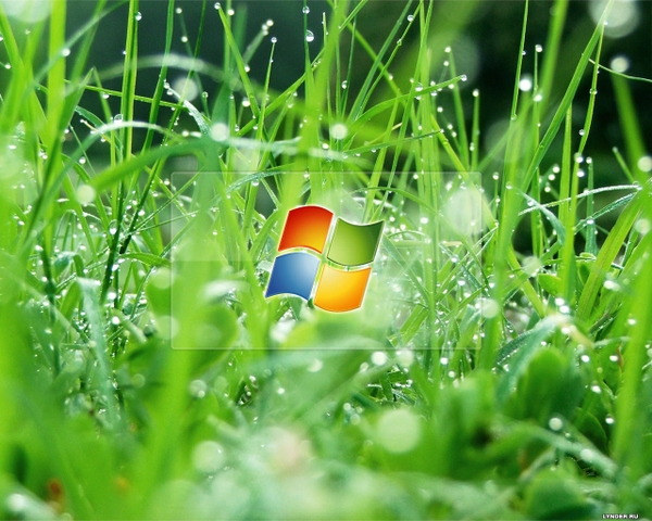 Water Rain Windows Grass Wet Microsoft Wallpaper