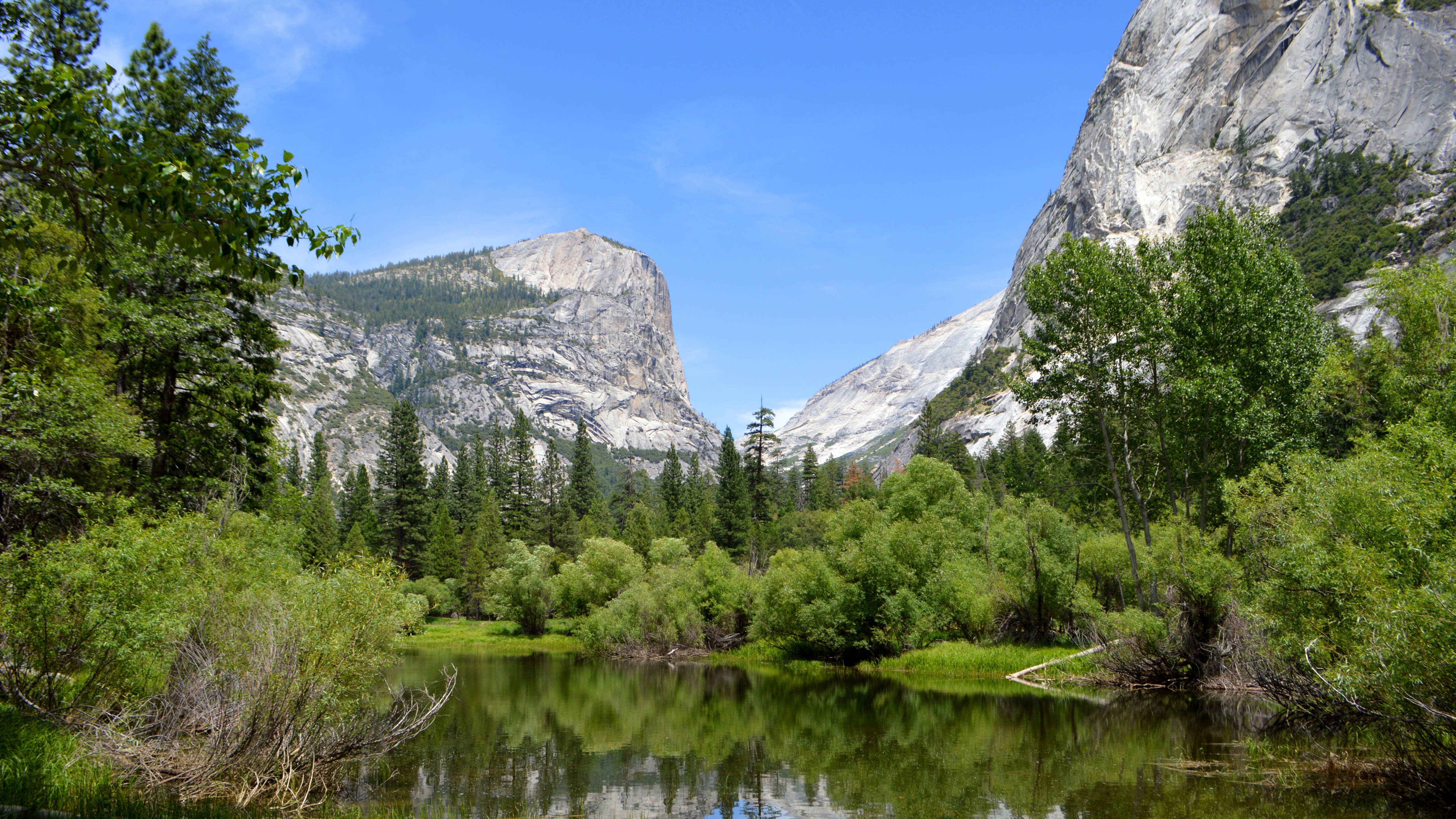 Wallpaper Yosemite 5k 4k 8k Forest Osx Apple
