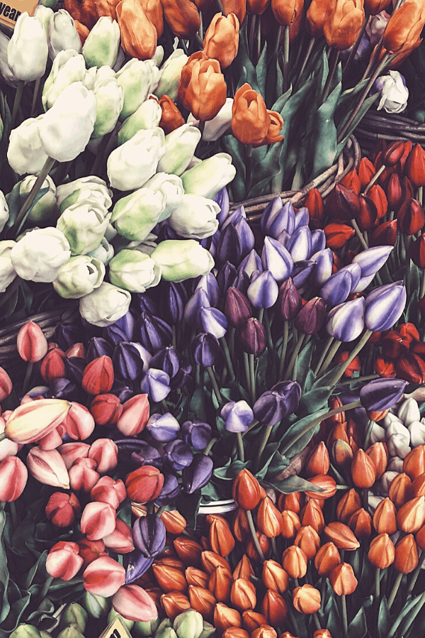 50 Gorgeous Flower Aesthetic Wallpaper for your Iphone   Prada