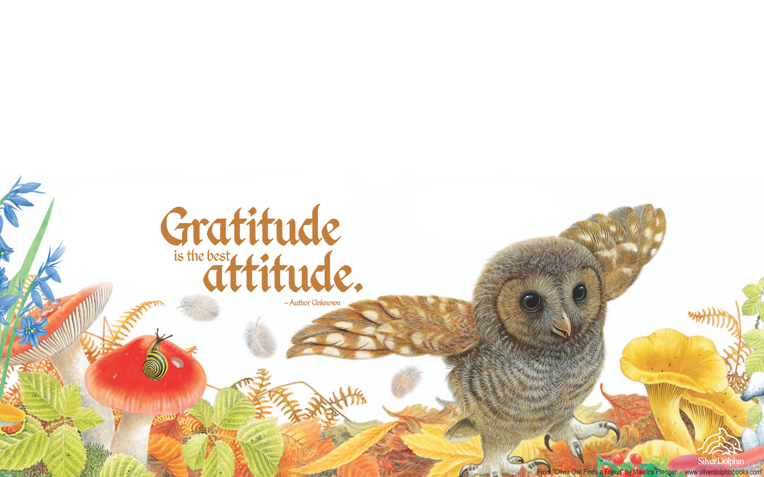Gratitude Wallpaper Super Pictures Of