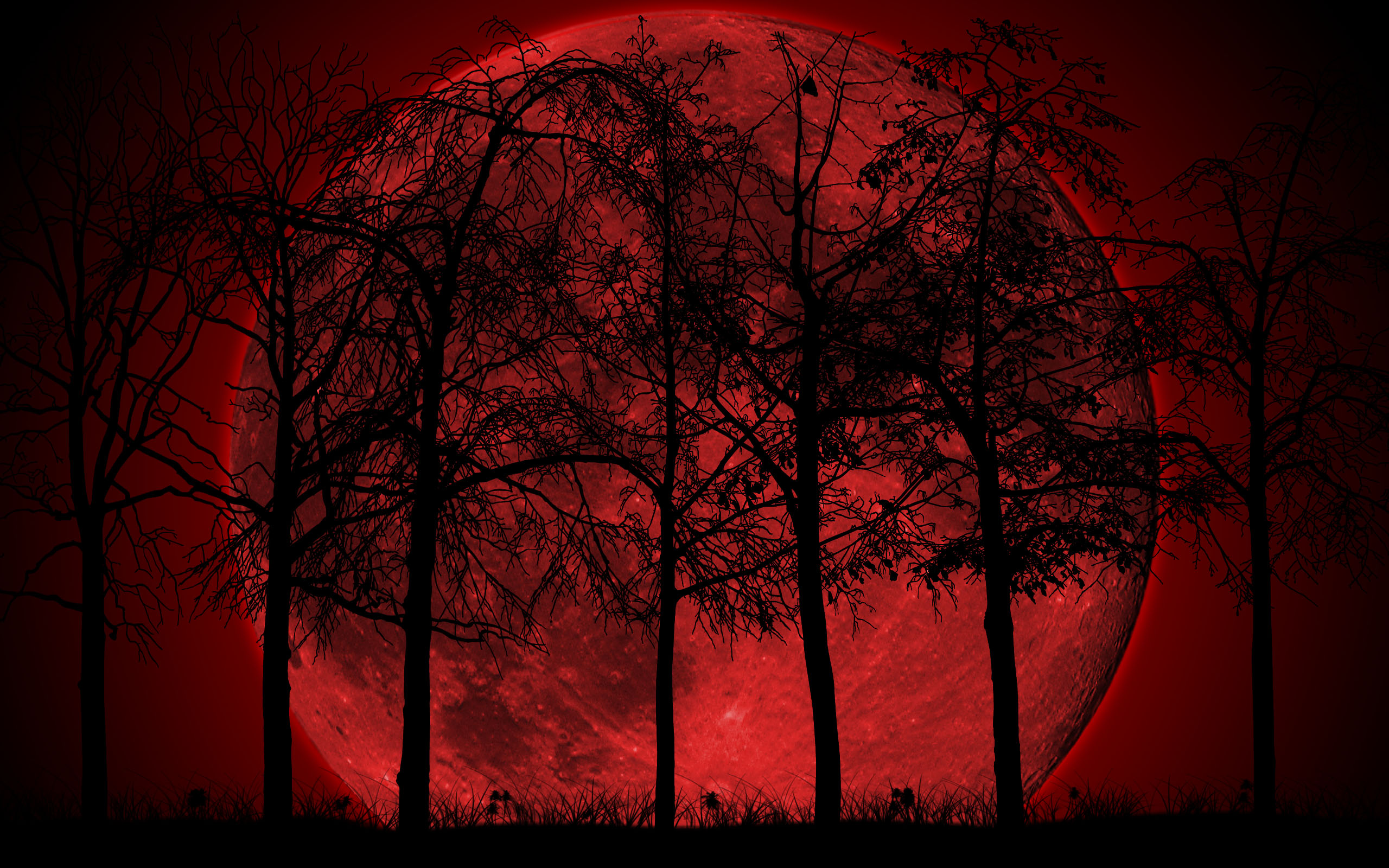 Forest Red And Black Wallpaper