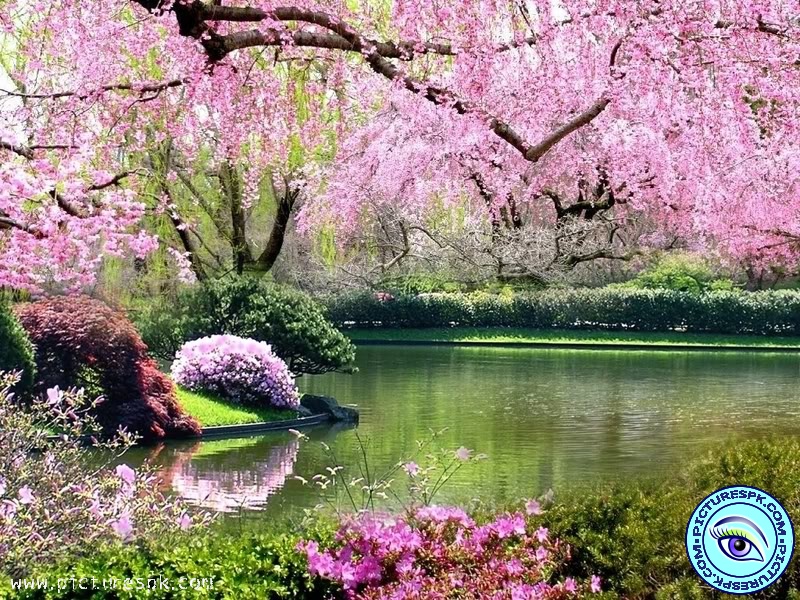 Beautiful Spring Picture Wallpaper In Resolution