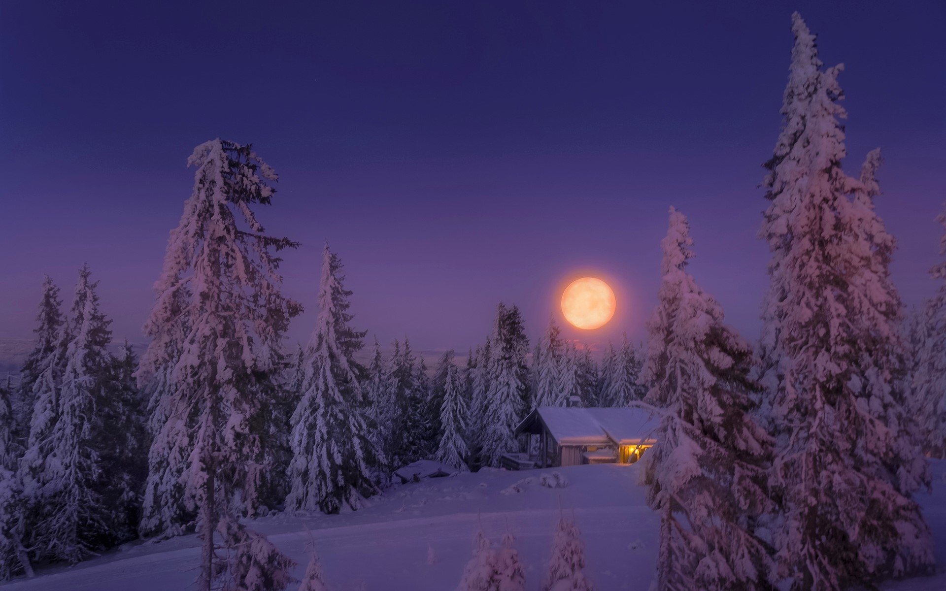 Full Moon On A Winter Night HD Wallpaper Background Image