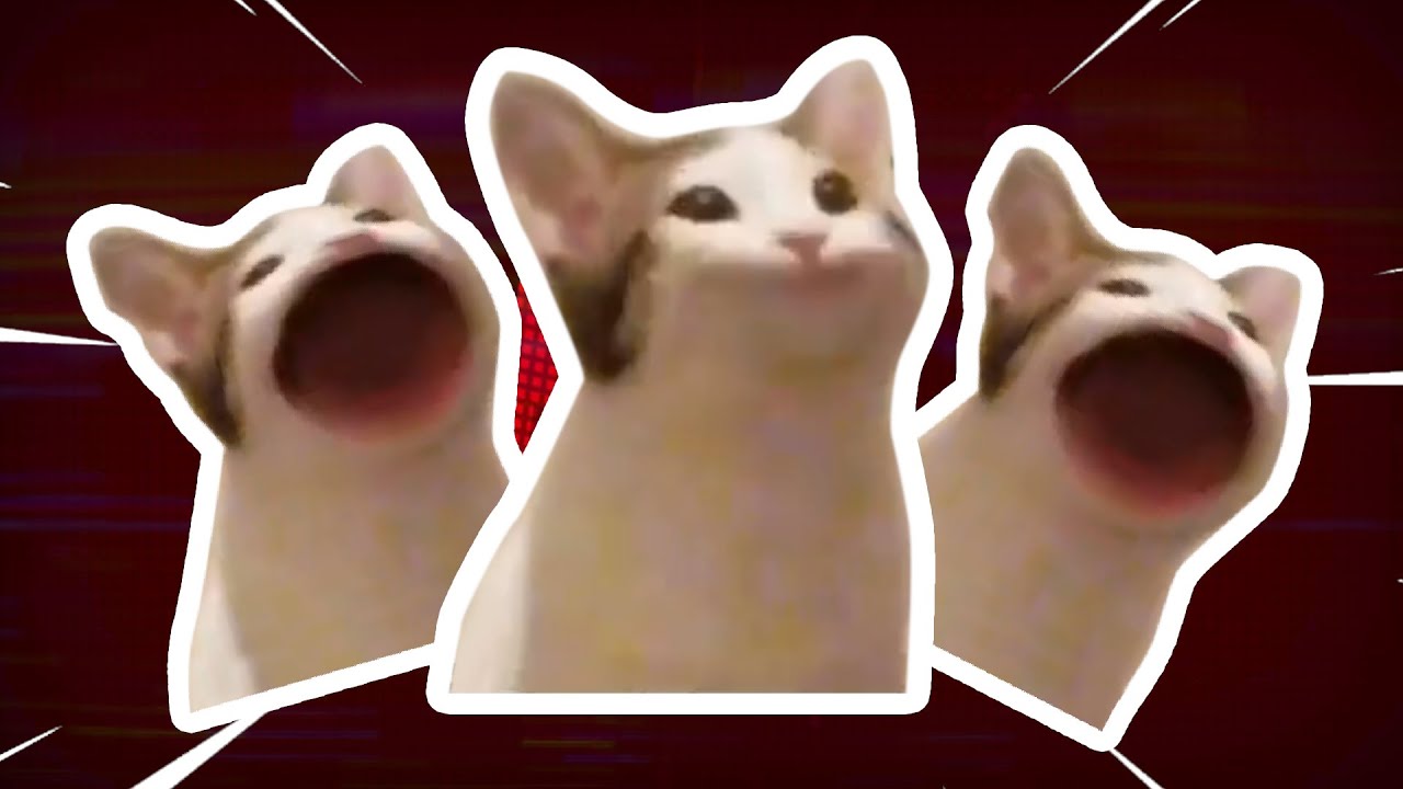 Touch Tone Cat Pop Know Your Meme