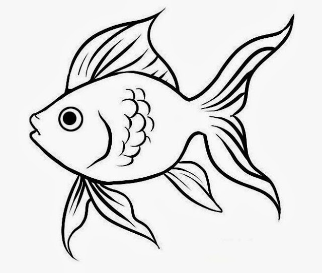  Cute Fish Wallpaper - WallpaperSafari