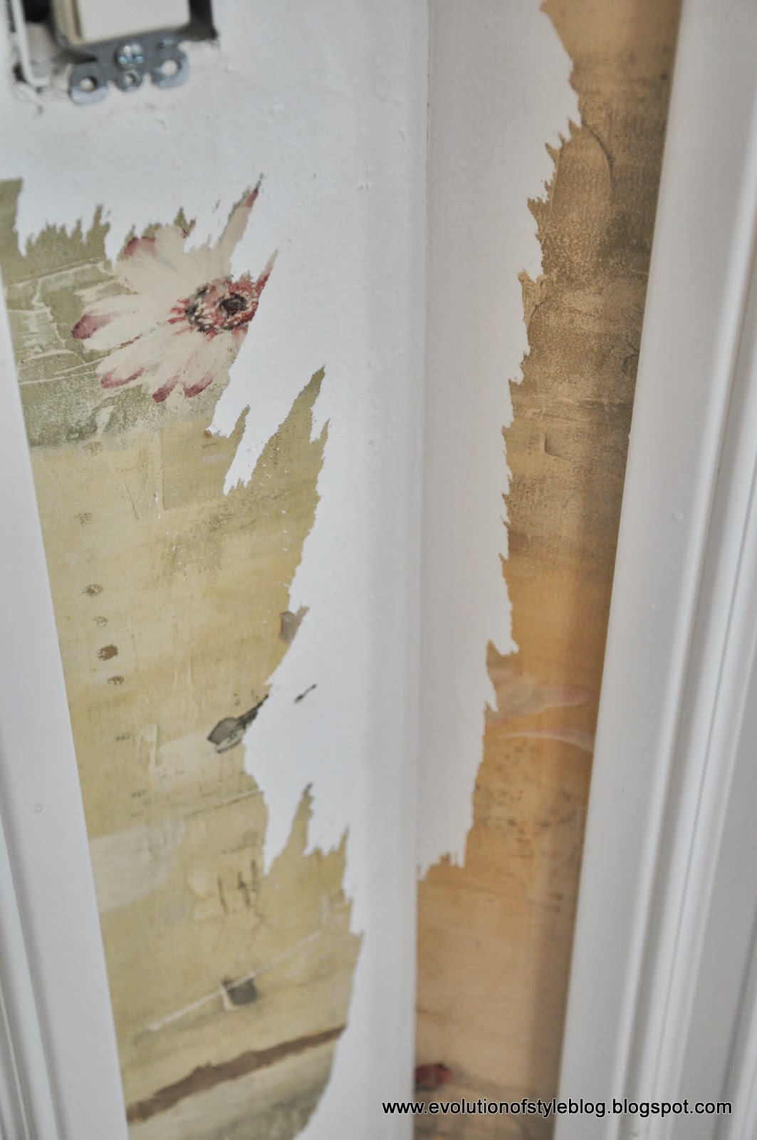 Free download wallpaper coming off the walls instead of nice big sheets