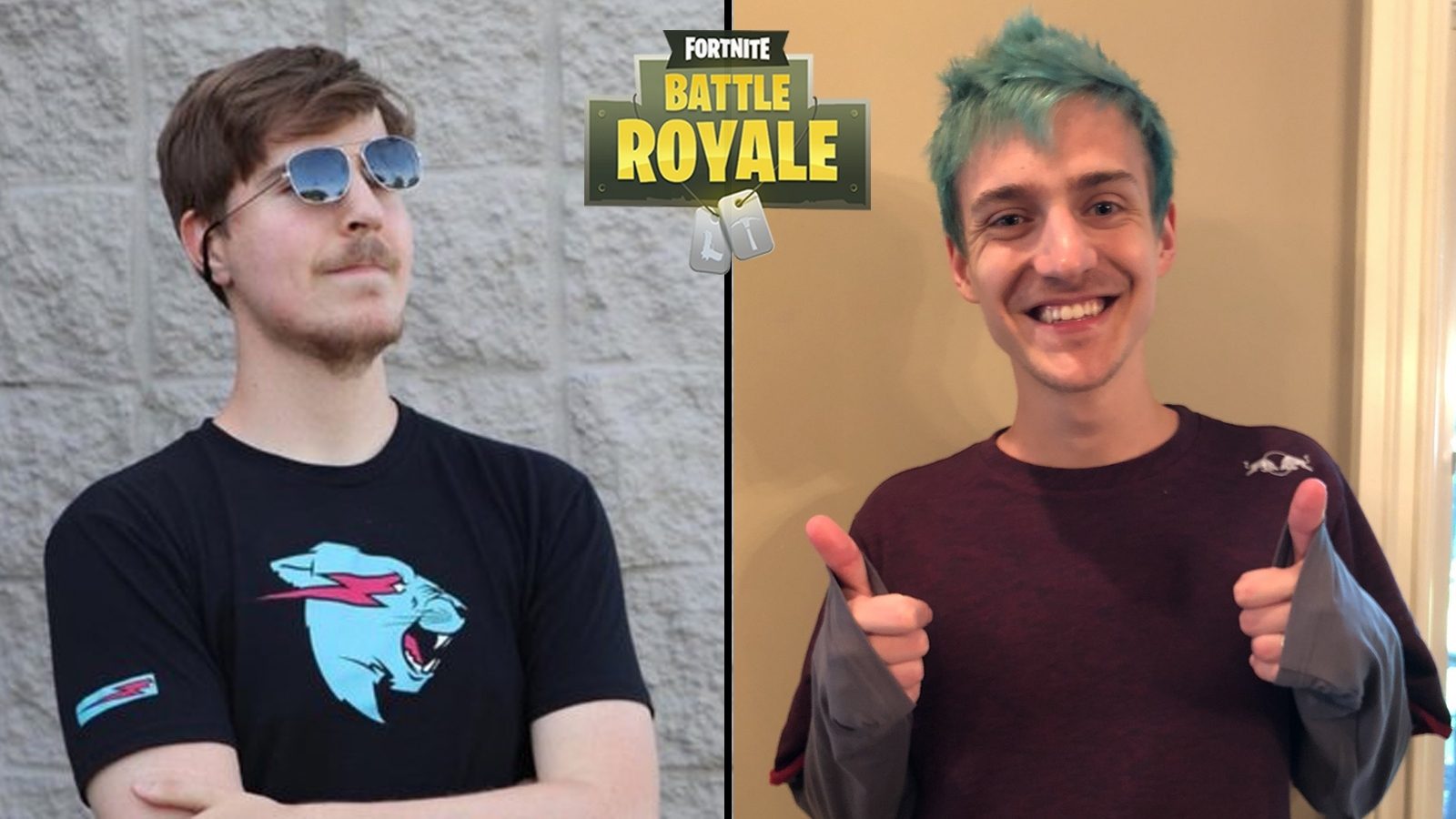Mrbeast Donates To Ninja Try And Stop Him From Winning