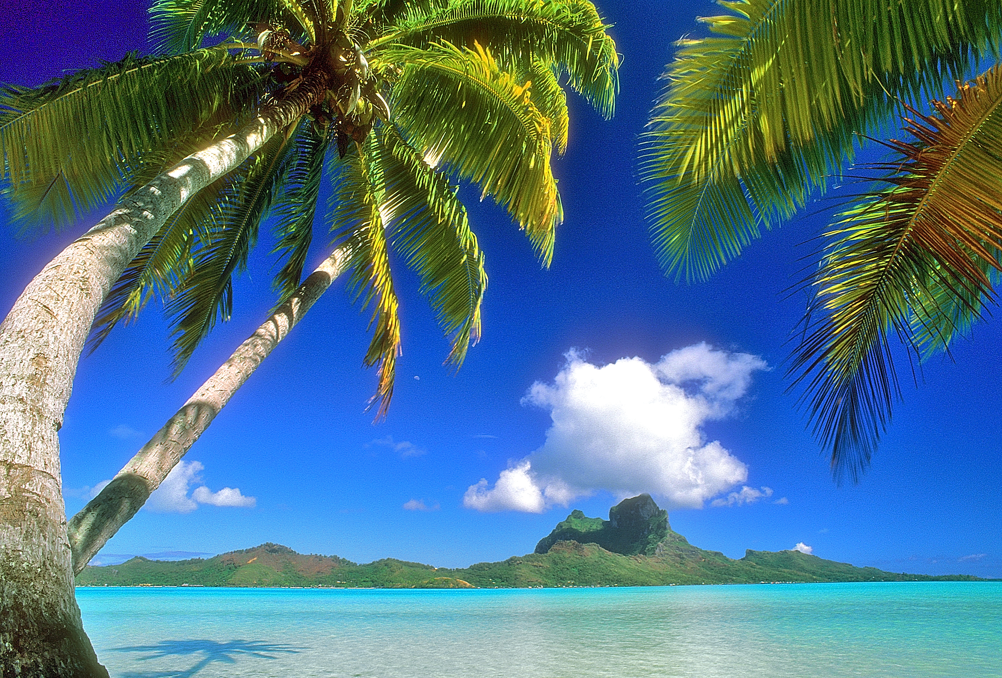 Với hình nền máy tính miễn phí cho green screen [3984x2697] của Hawaii, bạn hoàn toàn có thể tạo ra những video không gian sống động đẹp mắt. Khám phá ngay để biết thêm chi tiết và tận hưởng những kiệt tác tuyệt đẹp về đất nước Hawaii của chúng tôi.