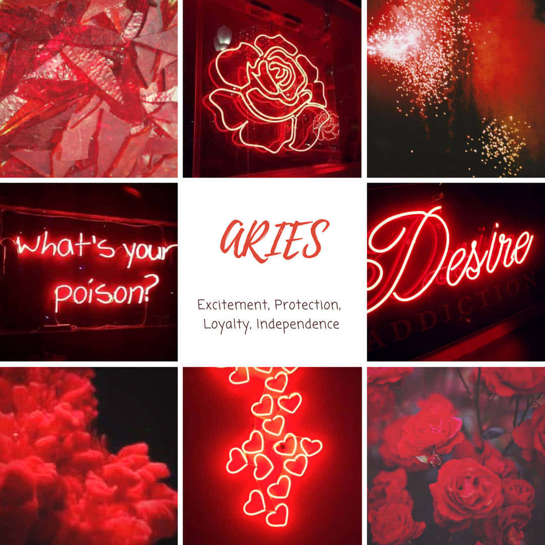 Aesthetic Astrology Wallpaper