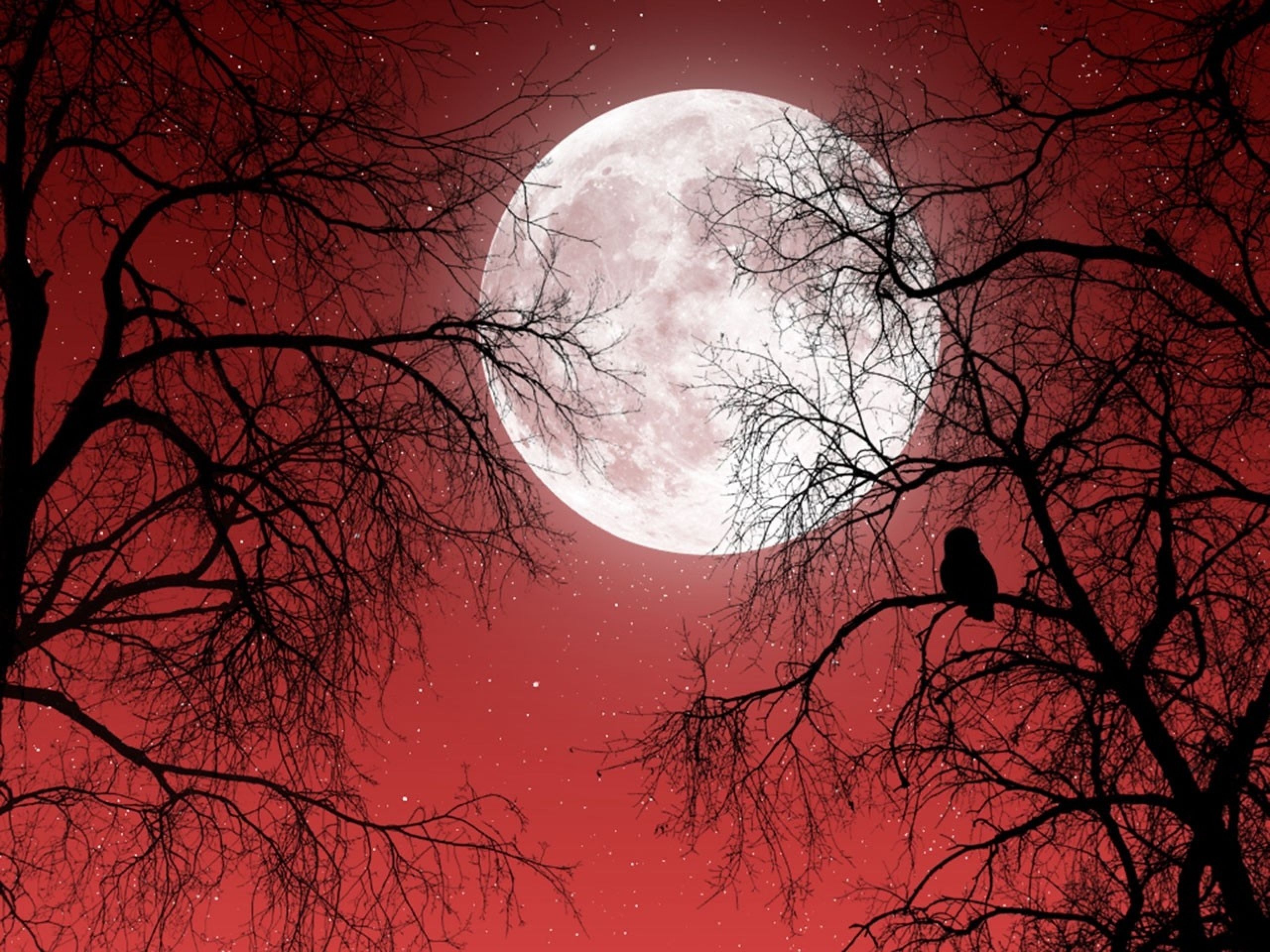 29+] Red Moon Night Sky Wallpapers - WallpaperSafari