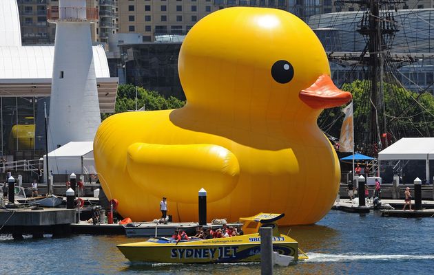 gigantic bright yellow rubber duck floated into Sydneys Darling
