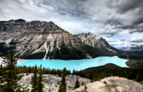    Turquoise peyto lake canada national park photo wallpaper mural