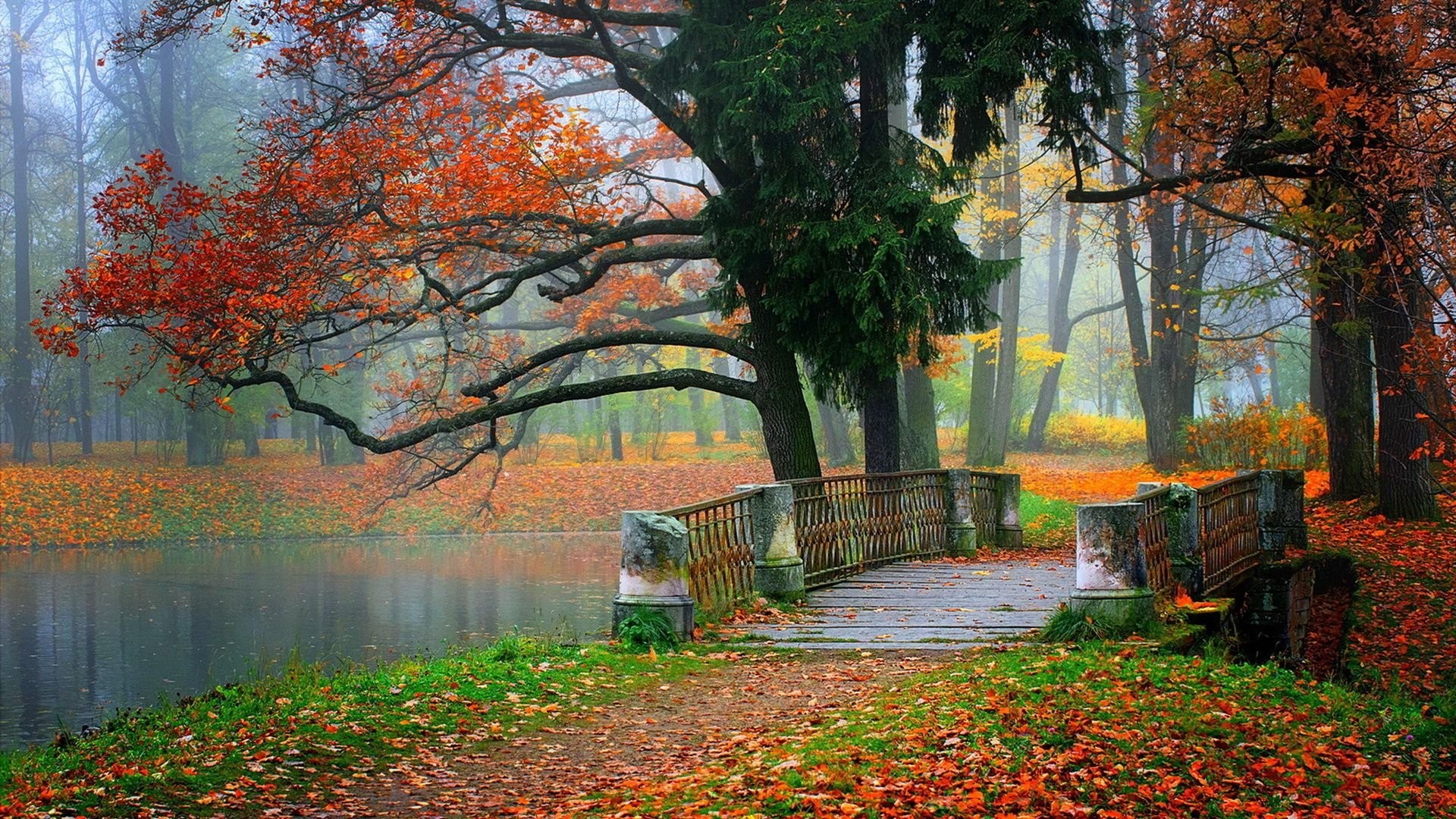 Autumn HD Landscape Wallpaper Beauty Tree Bridge Tablet
