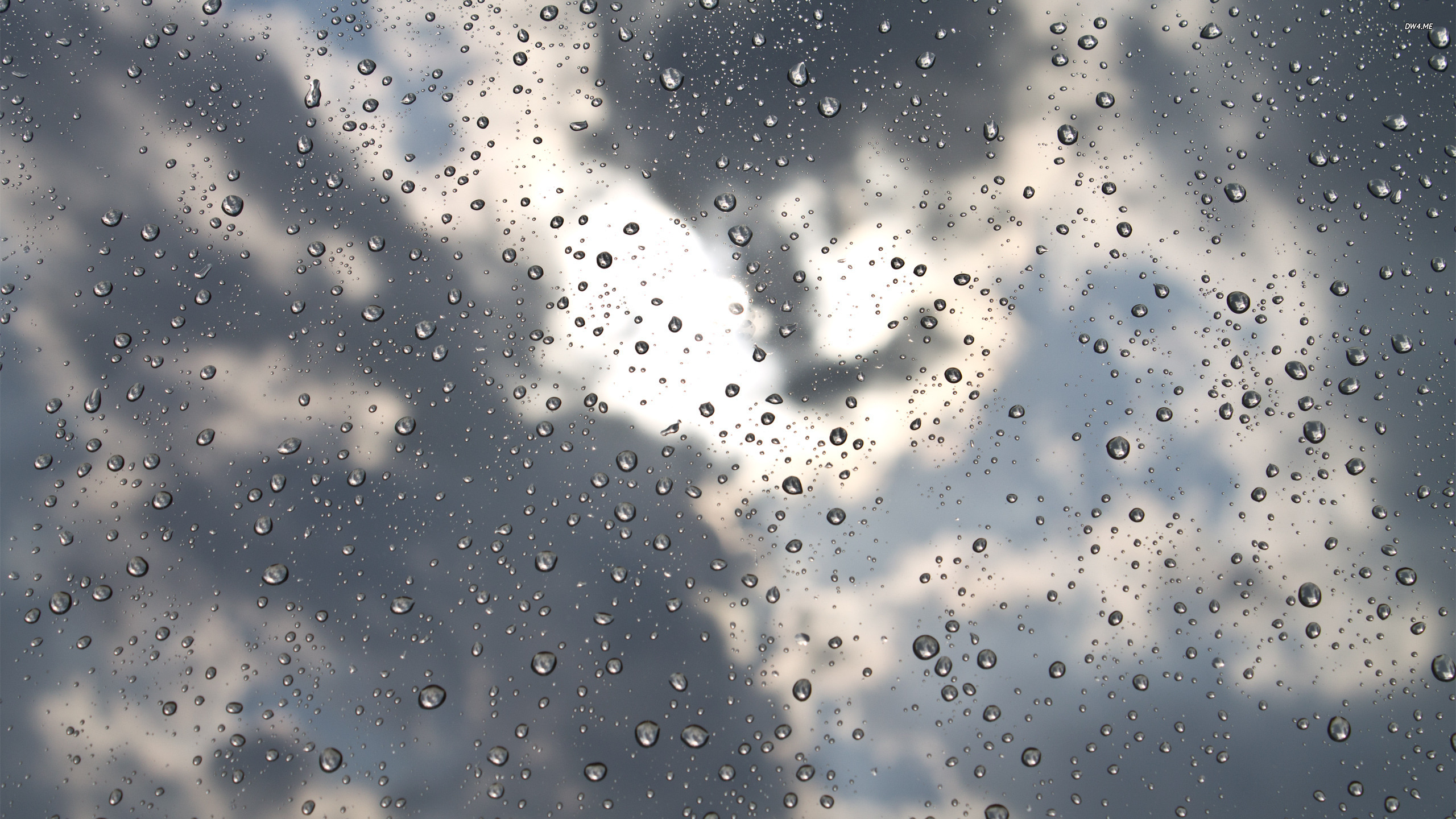 Raindrops and sunshine wallpaper   Photography wallpapers   573