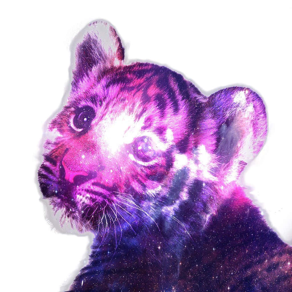 Cool Animal Galaxy Wallpaper