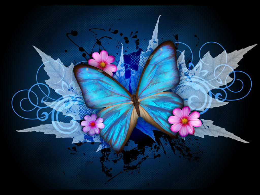 Tag Blue Butterfly Art Wallpaper Background Photos Image And