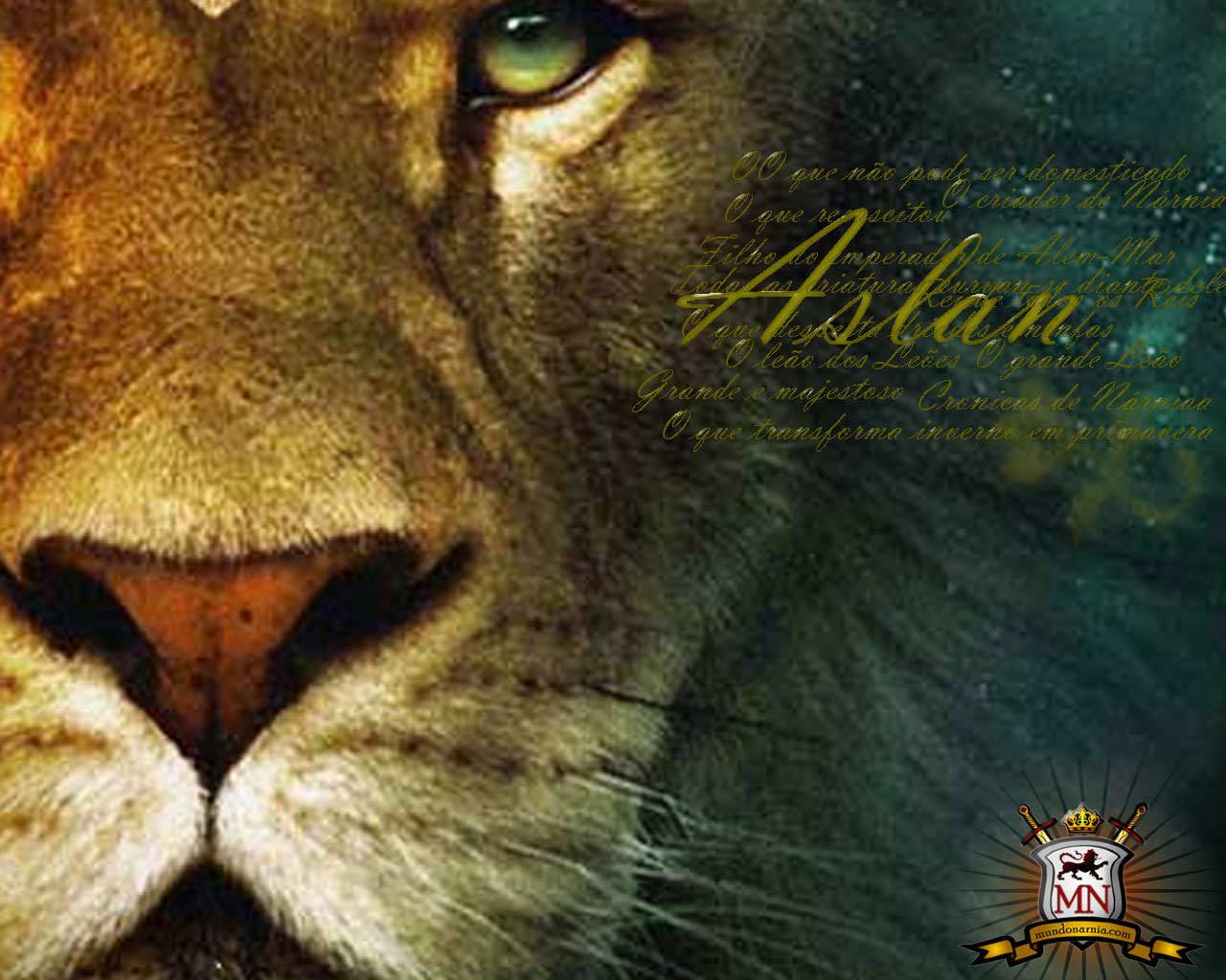 aslan the great - Aslan Wallpaper (20650188) - Fanpop