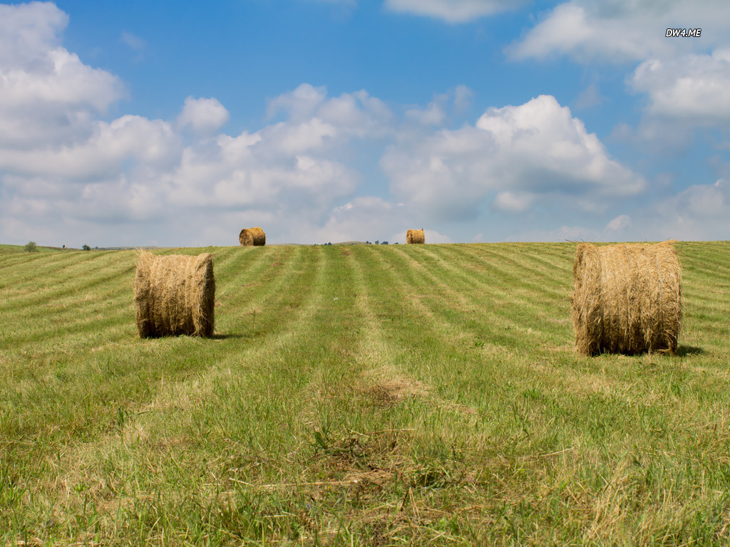Hay Bales After The Harvest Wallpaper Nature