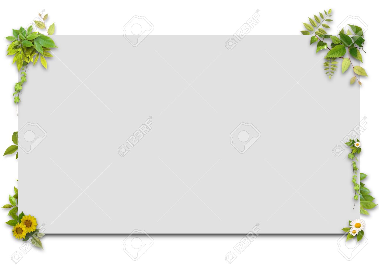 3d Background Of Whiteboard Stock Photo Picture And Royalty