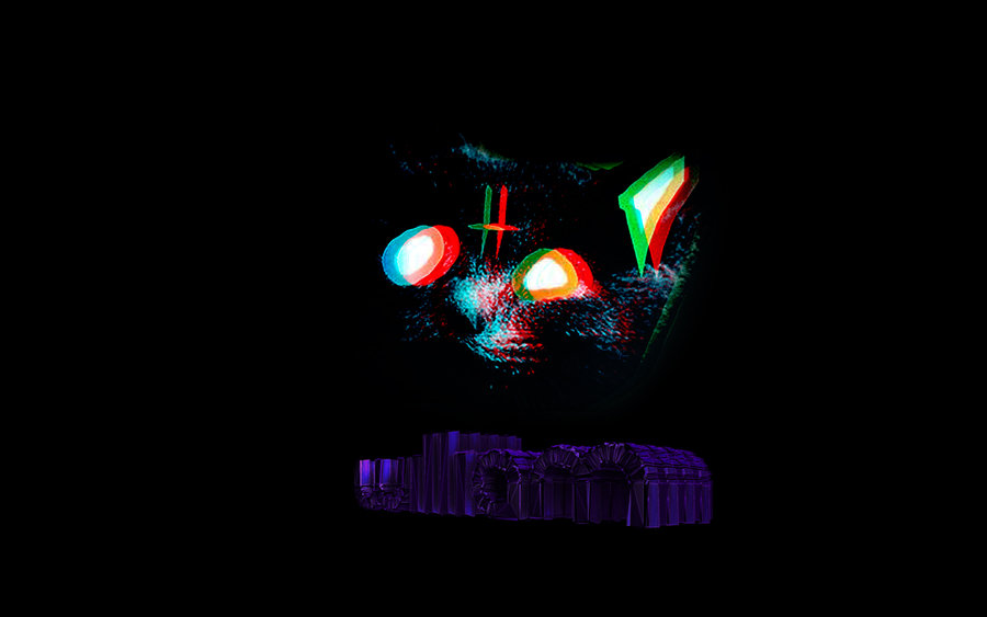 ofwgkta wallpaper hd cat