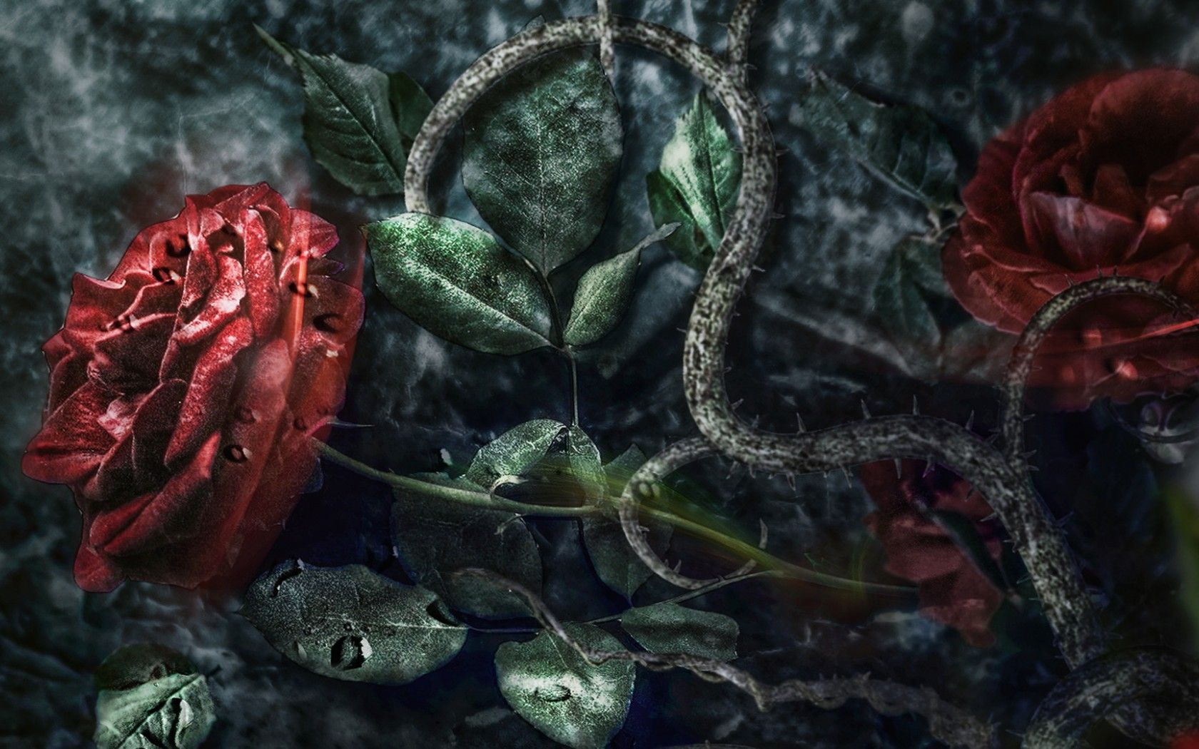 Gothic Floral Wallpaper Roses Thorns Flowers