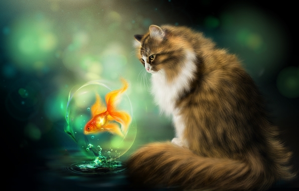 Wallpaper cat goldfish cat fish wallpapers painting   download 596x380