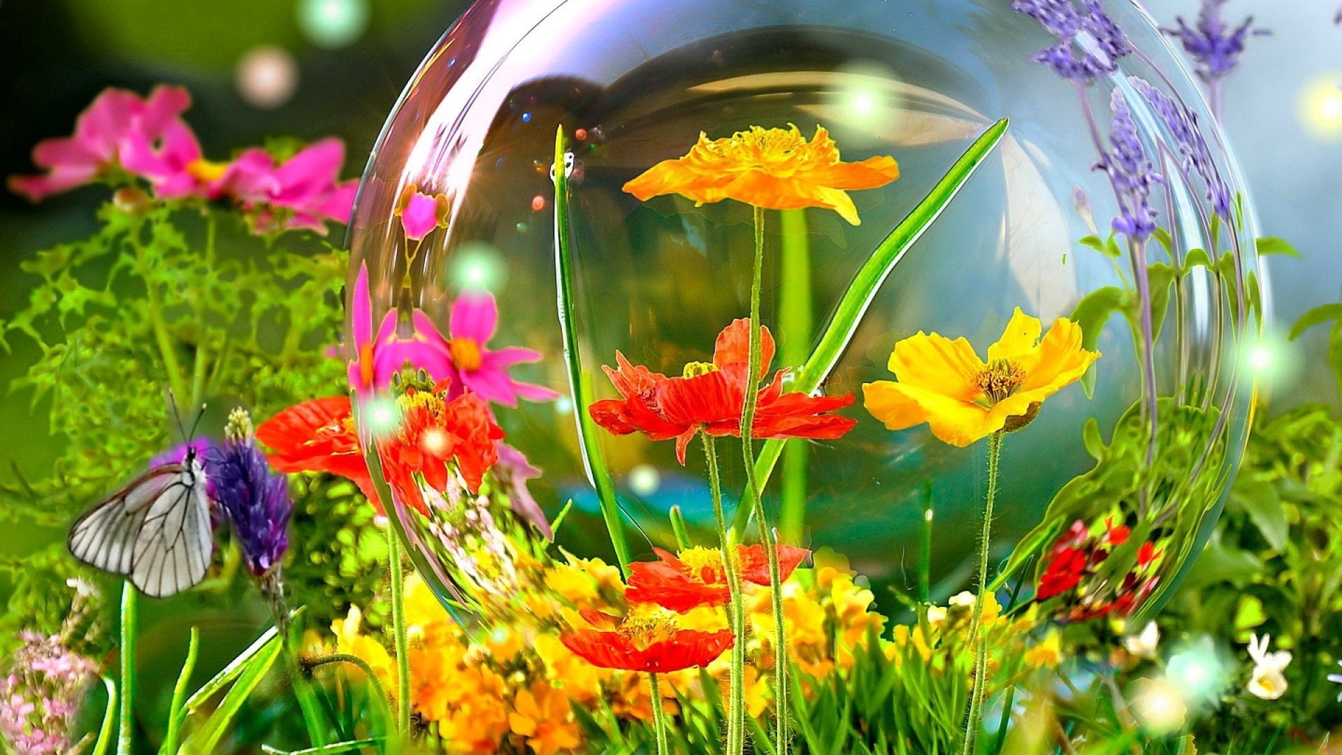 Bokeh Globe Mood Flowers Butterly Bubbles Wallpaper