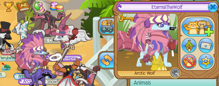 Animal Jam Arctic Wolf Wallpaper An Was Spotted