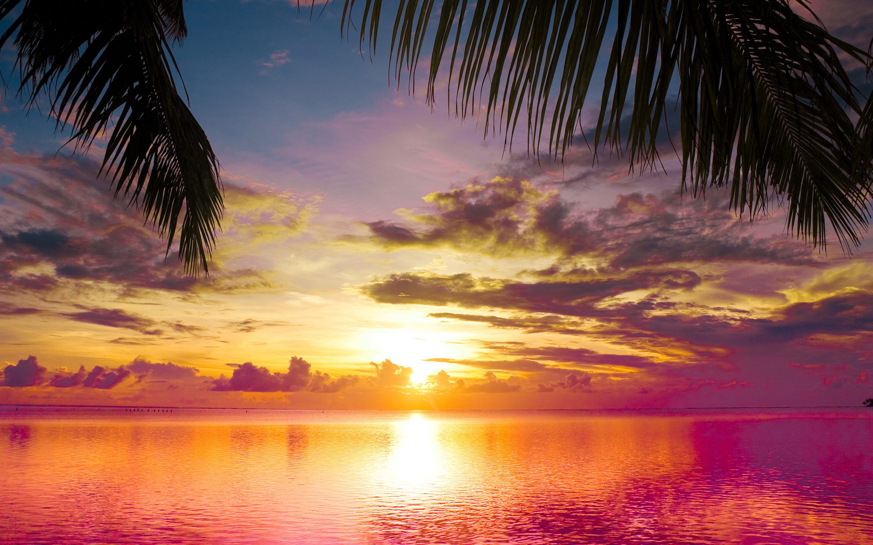 Beach Sunset Scene Wallpaper