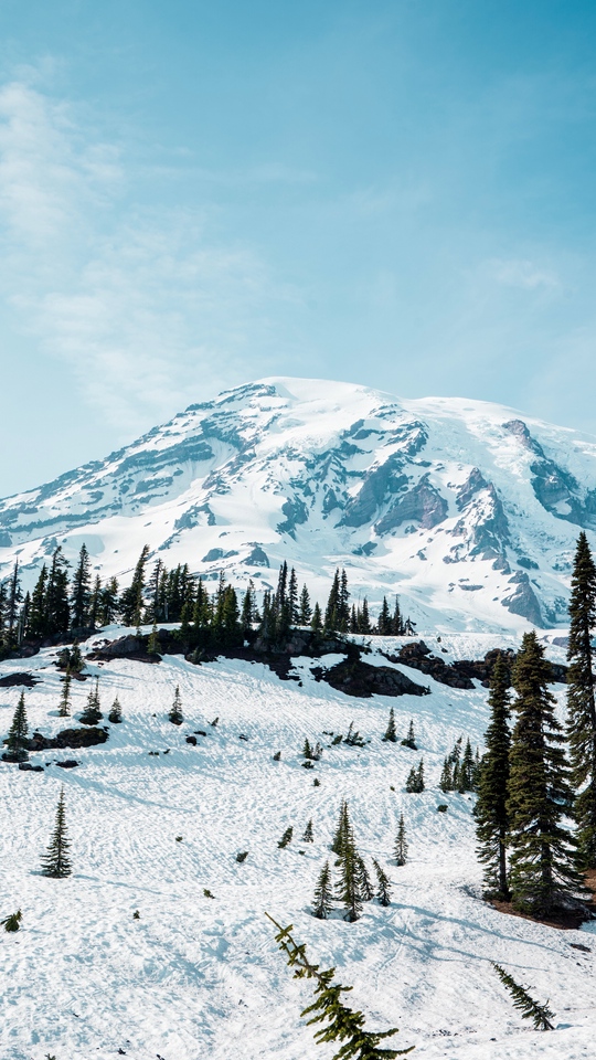 Wallpaper Mountain Snow Trees Landscape Winter Mount Rainier