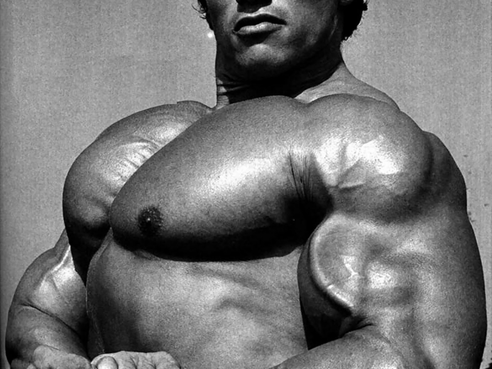 Arnold Schwarzenegger Bodybuilding Wallpaper Bodybuilding  फट शयर
