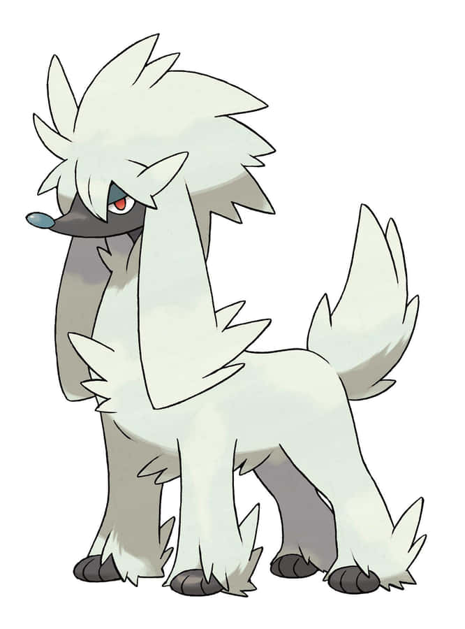 Furfrou U62Tm29O1Ge769T4 Wallpaper
