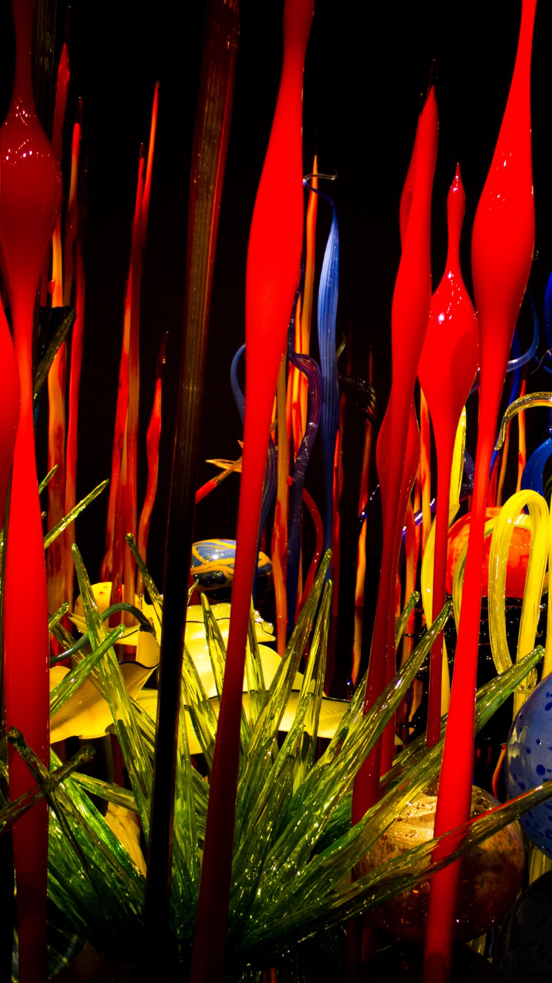 Chihuly Garden And Glass HD Wallpaper 4k