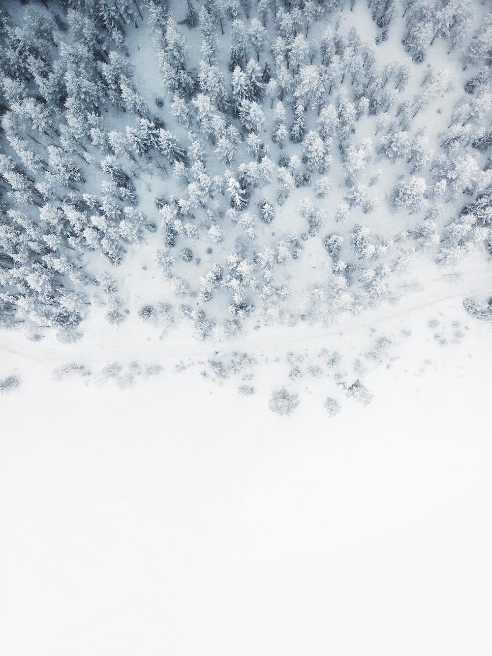 Snow Wallpapers Free HD Download HQ