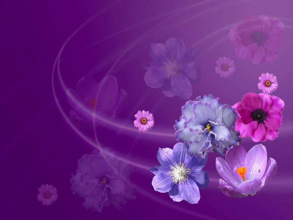 Purple And Pink Flowers Background Background For