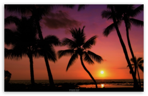 Tropical Sunset HD wallpaper for Standard 43 54 Fullscreen UXGA XGA