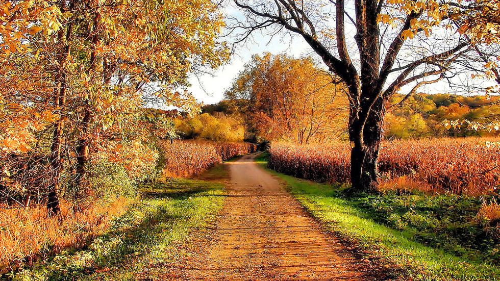 Autumn Country Road Jpg