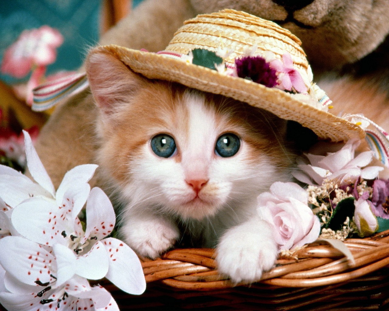 An adorable kitten with a straw hat sits in a basket with flowers