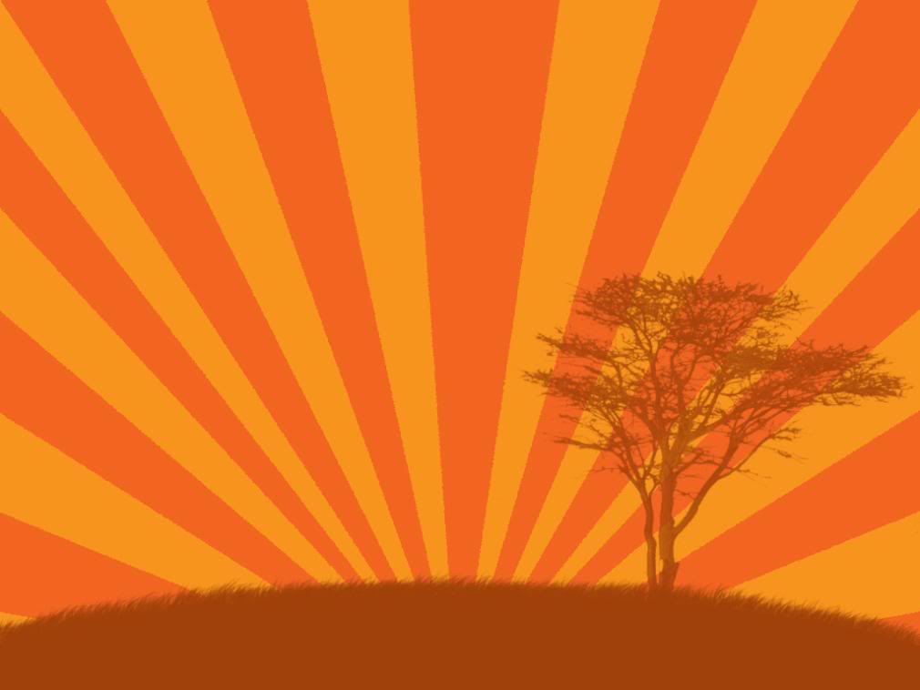 Sun African Tree Wallpaper Background Theme Desktop