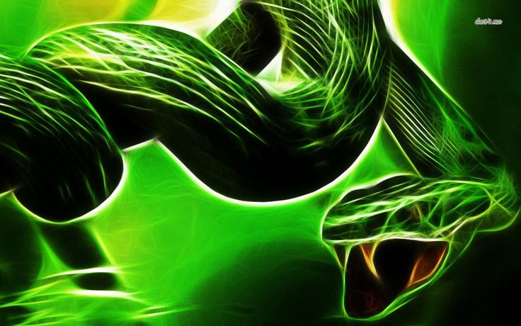 Free download neon green snake Neon snake wallpaper Digital Art wallpapers  [736x460] for your Desktop, Mobile & Tablet | Explore 48+ Neon Snake  Wallpaper | Snake Wallpaper, Cool Snake Wallpapers, Solid Snake Wallpaper