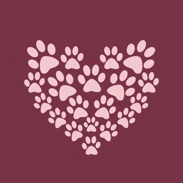 Free download Cat Paw Print Background Heart paw print background