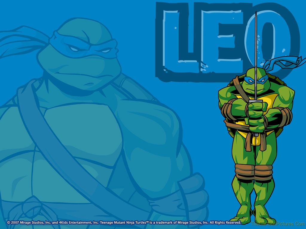 Ninja Turtles Leo Picture Wallpaper