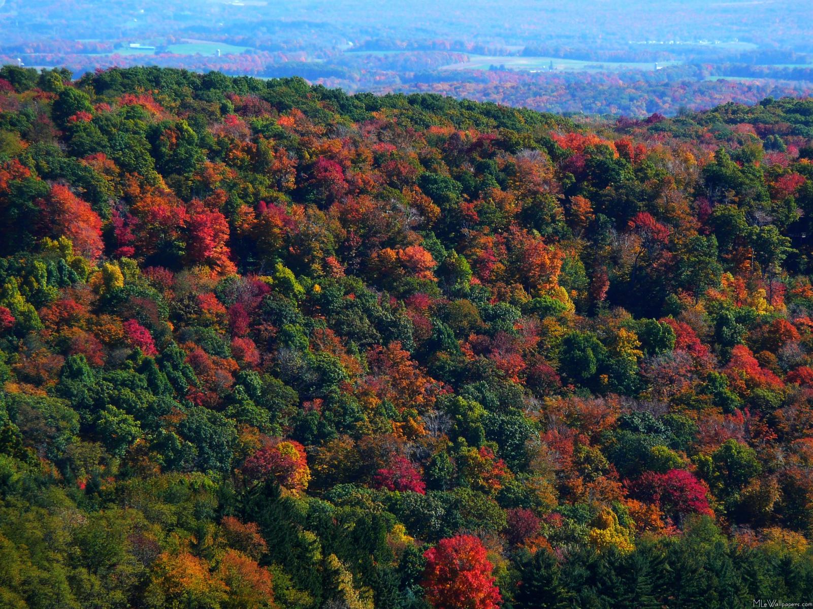 Mlewallpaper Appalachian Mountains In Fall